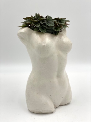 Planted Female Bust