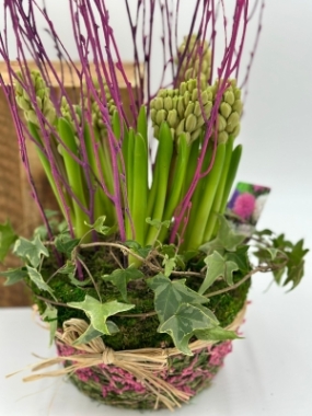 The Delia Basket