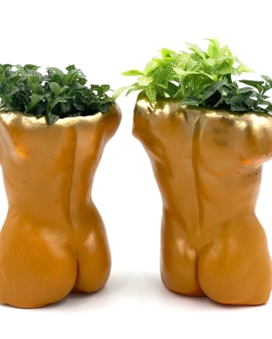 Planted Female Bust