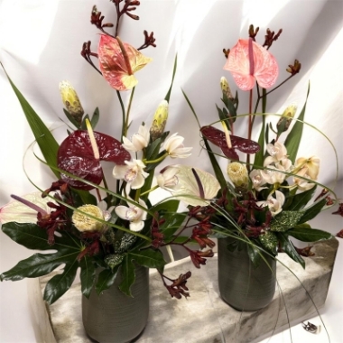 The Elegance and Charm