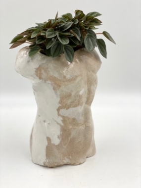 Planted Male Bust