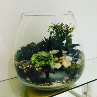 Planted Terrarium