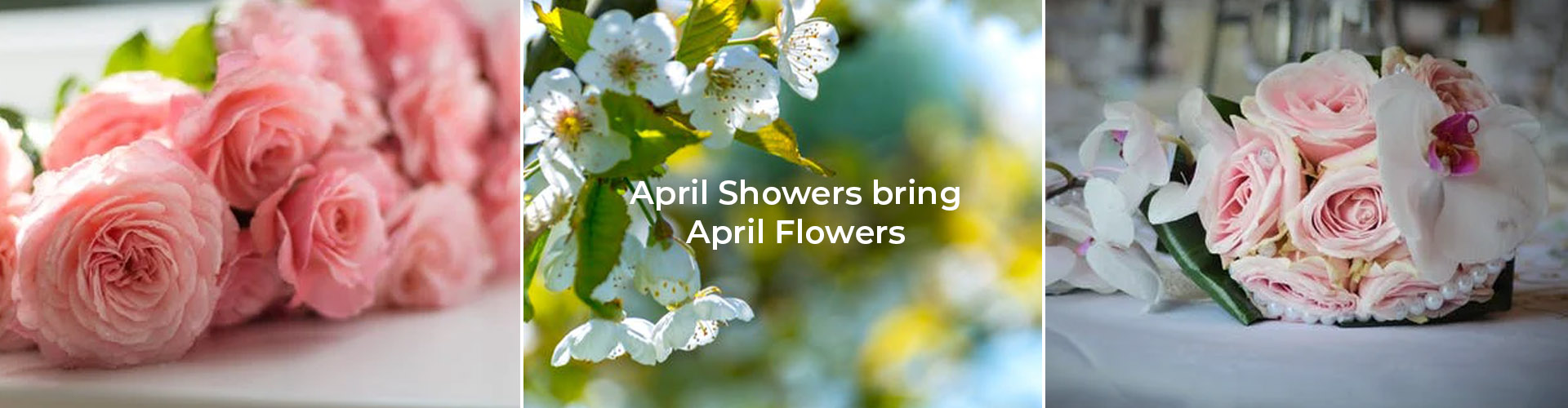 By Arrangement Florist, your florist in Throop. Same day flower Same