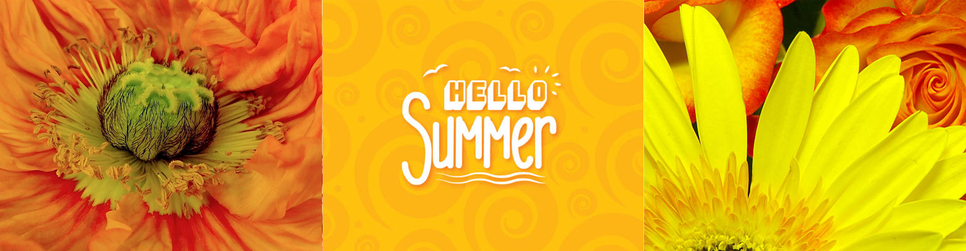 By Arrangement Florist, your florist in Throop. Same day flower Same